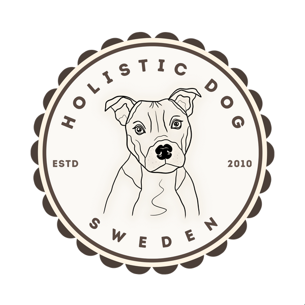 Holistic Dog